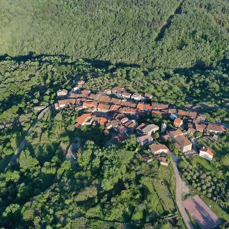 - Acogedora Y Calida Vivienda Appartement